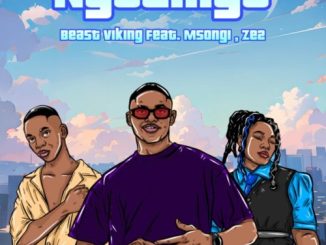 Beast Viking – Ngelinye ft. Msongi & Ze2