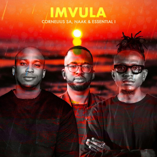 Cornelius SA NAAK Essential I – iMvula Extended