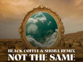 Nitefreak, Imad, Clubhouse – Not The Same (Black Coffee & Shoba Remix)