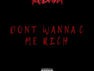 Redman Dont Wanna C Me Rich