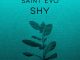 Saint Evo Shy